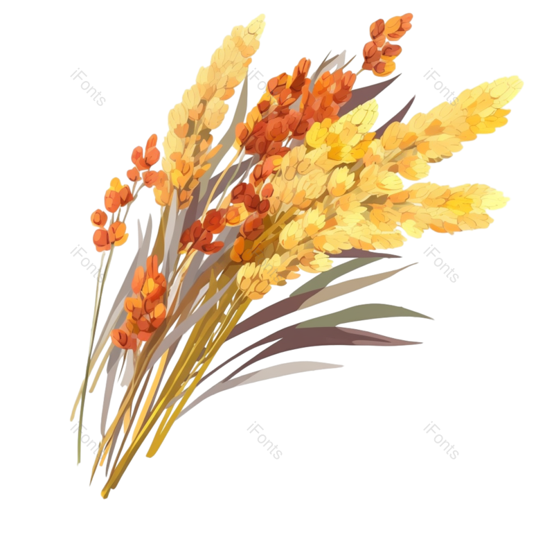 叶子图片,芒种元素,元素PNG,插画免抠素材